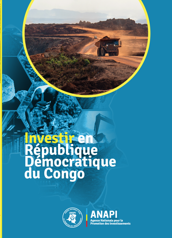 Cover Investir en RDC PDF