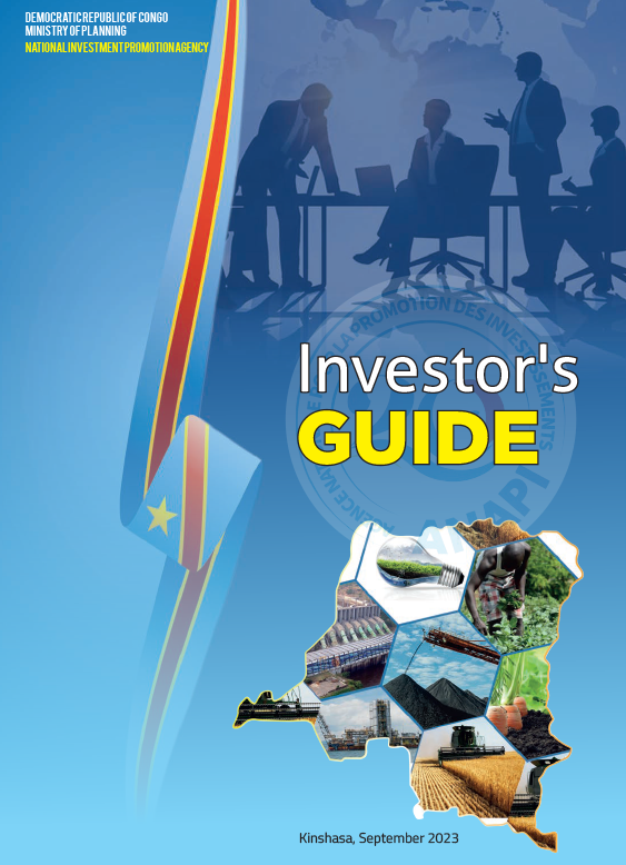Cover Investor's Guide PDF