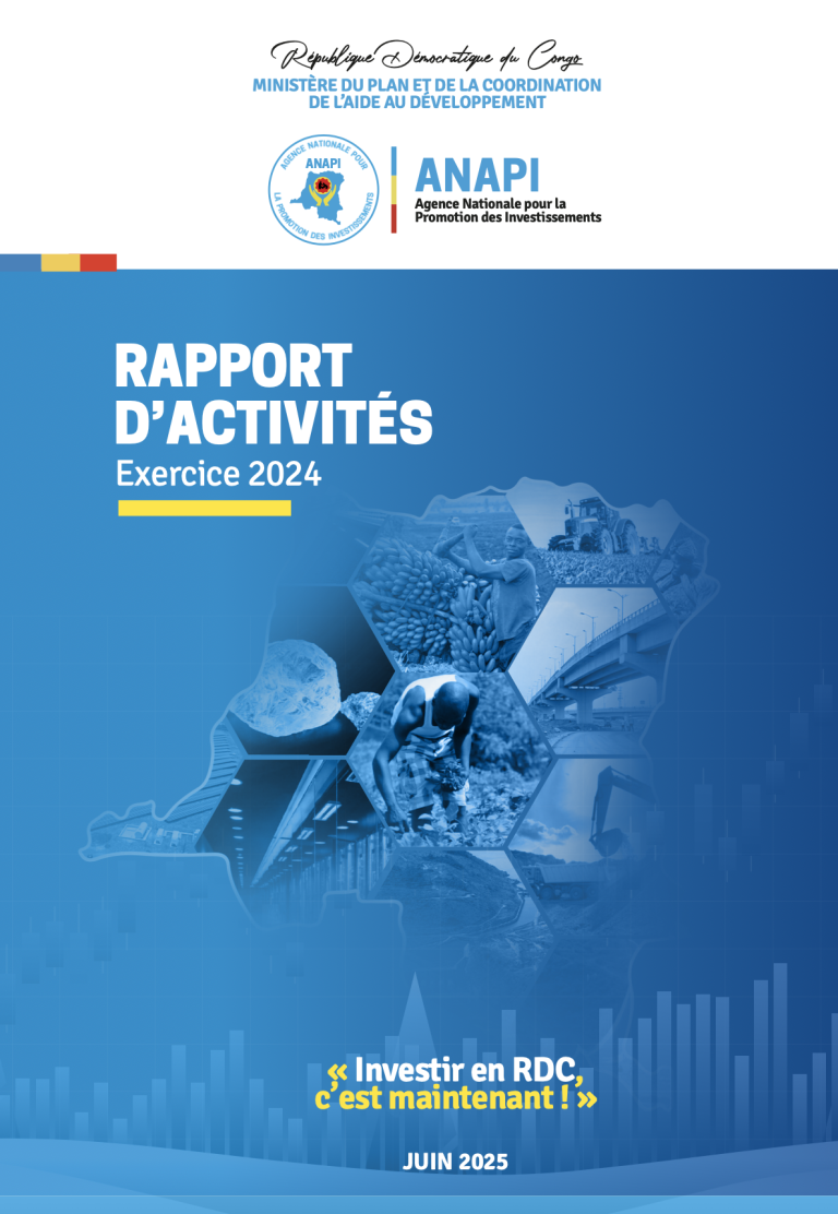 Rapport d'activités ANAPI : Exercice 2024