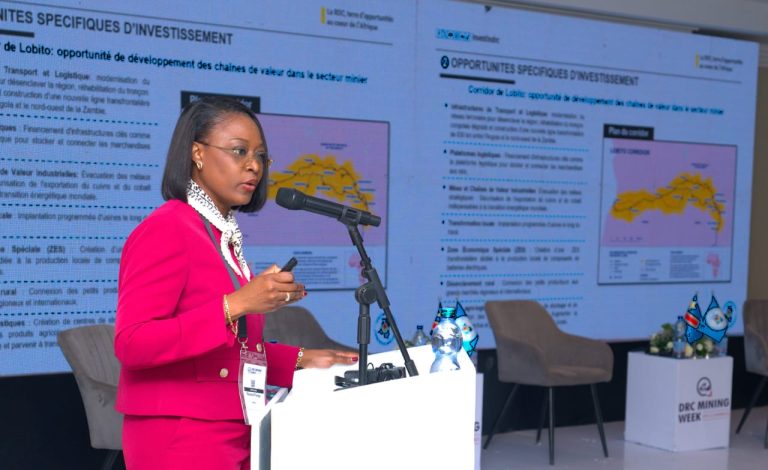 ANAPI DRC Mining week