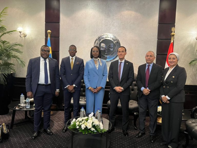 ANAPI RDC EGYPTE
